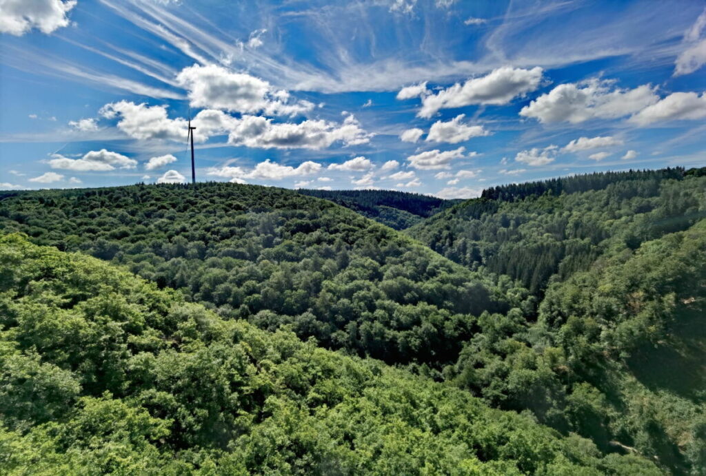 Aussicht auf unserer Geierlay Brücke Wanderung - von der Brücke auf das bewaldete Mörsbachtal