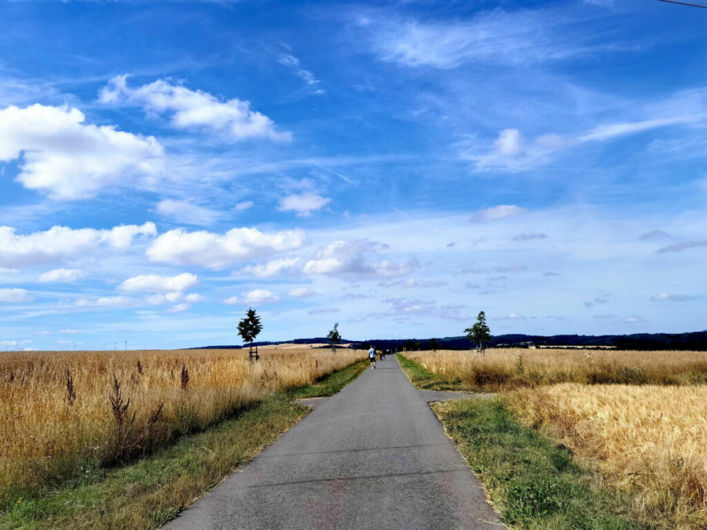 Die Geierlaybrücke Wanderung am Rande von Mörsdorf entlang von Wiesen und Feldern bis zur Hängebrücke