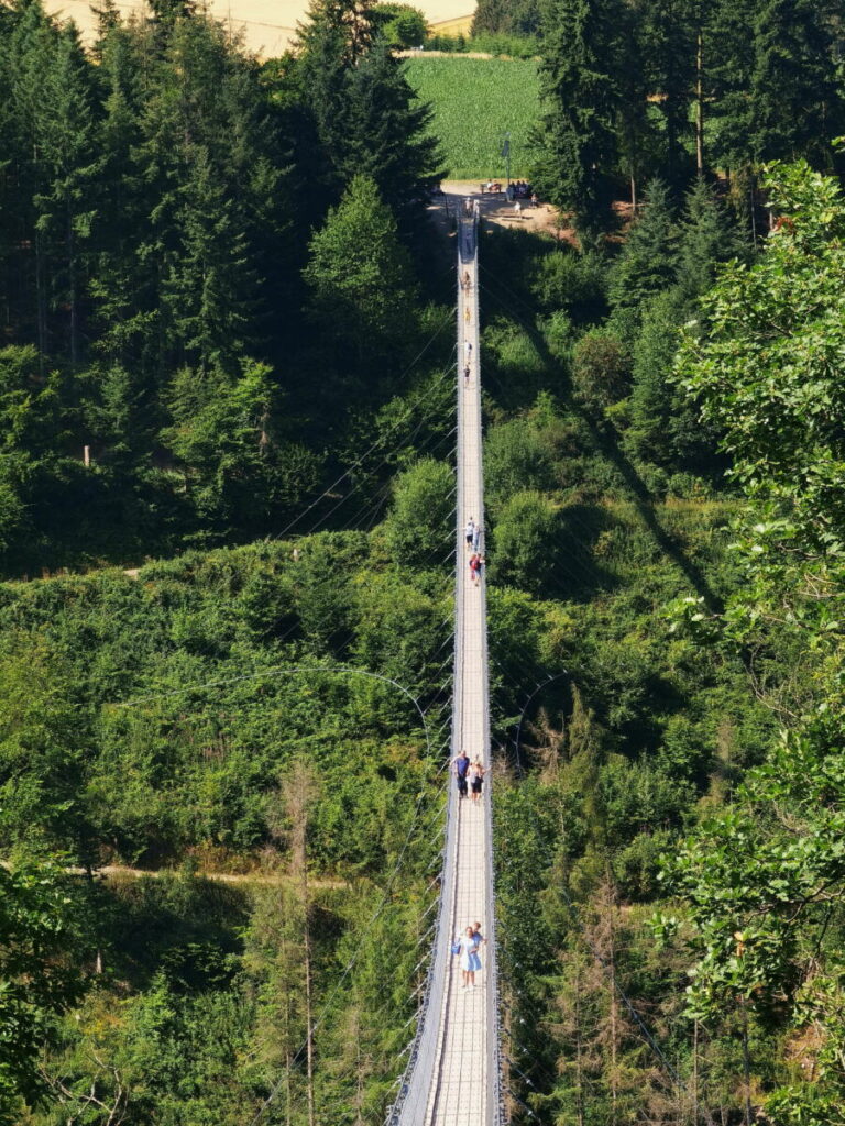 360 kannst du entlang der Geierlaybrücke wandern, von einer Talseite auf die Andere