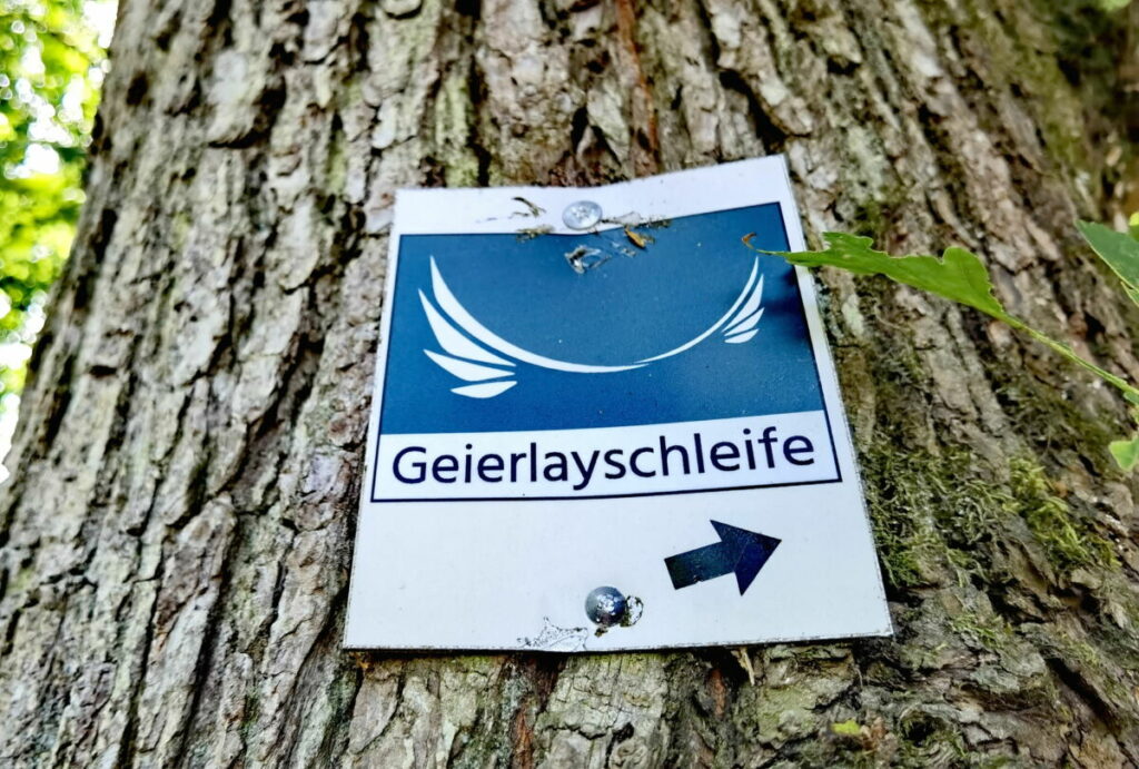 Beliebter Wanderweg Geierlayschleife - einer der Traumpfade im Hunsrück
