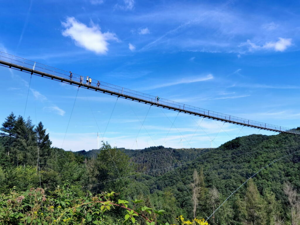 Auf der Geierlayschleife wandern - und die bekannte Geierlaybrücke von unten sehen