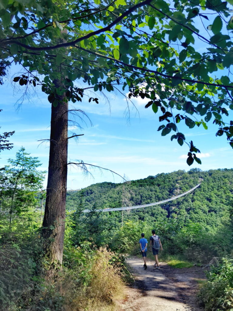 Explore the Geierlay Bridge on a hike