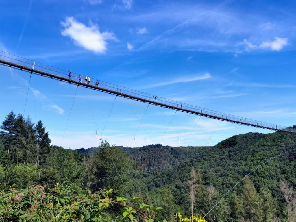 View to the Geierlay Suspension Bridge